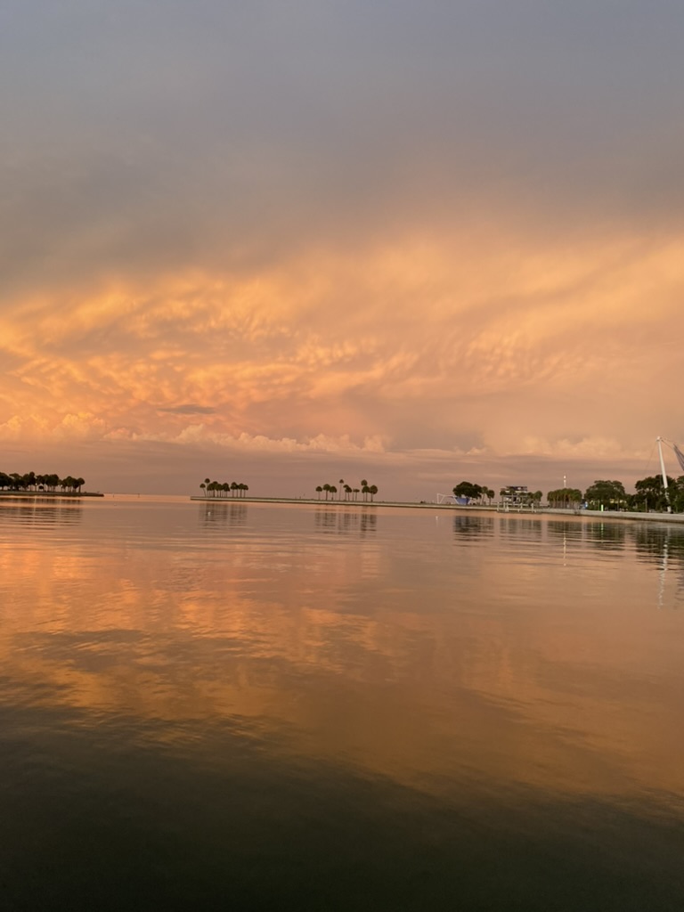 Saint Petersburg, FL